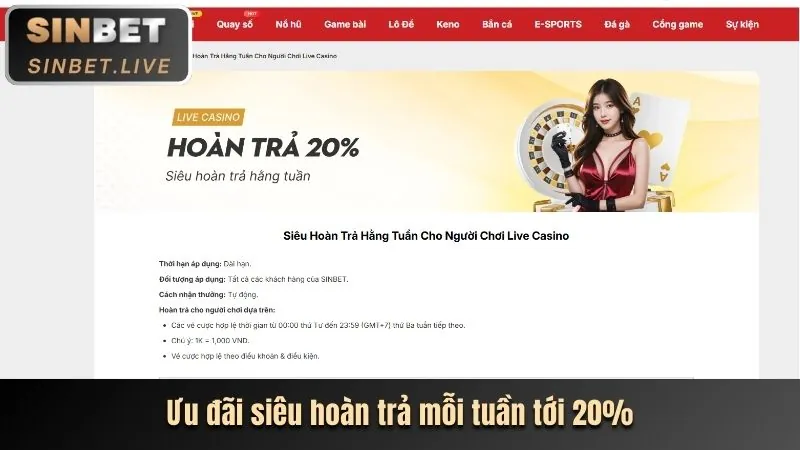 Lợi ích của 98bet code
