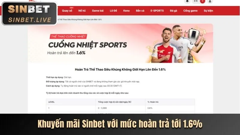 Các loại 98bet code